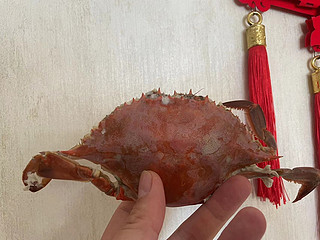 30一斤的大海蟹，再不吃可就涨价了