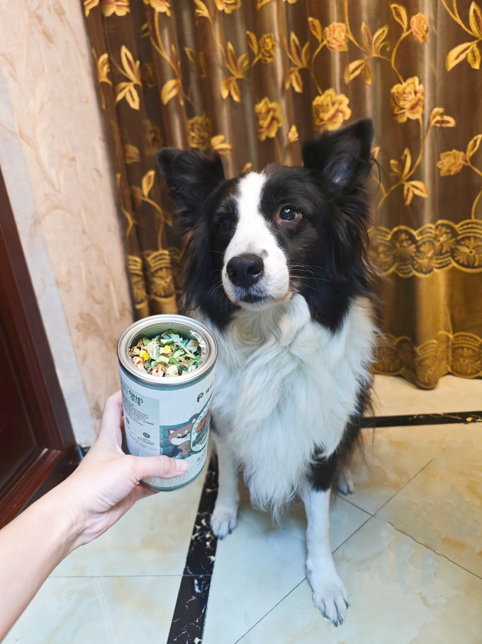 狗粮