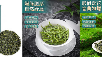 现代绿茶之祖，休宁松萝茶