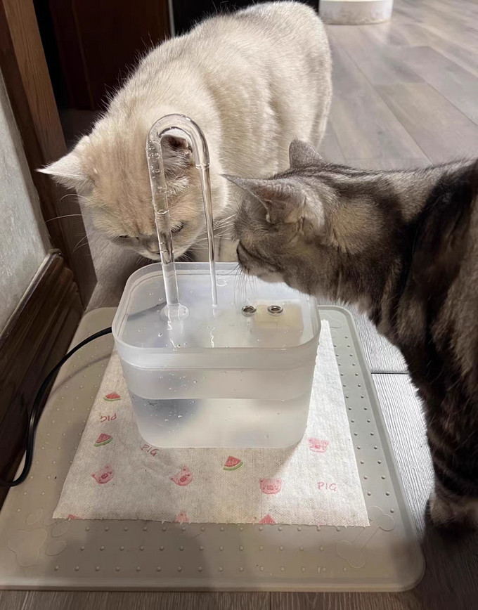 宠物智能饮水机