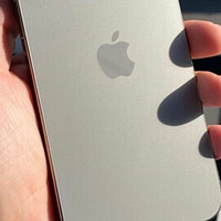 ￼￼Apple iPhone 15 Pro Max (A3108) 256GB 原色钛金属 