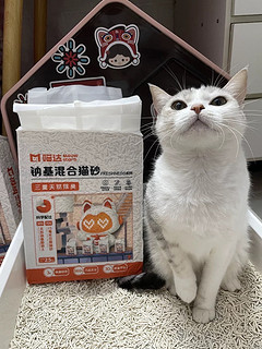 分享猫砂使用心得!