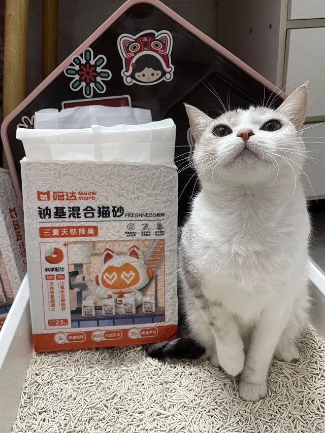分享猫砂使用心得!
