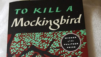 《杀死一只知更鸟》:被忽略的经典