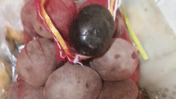 高原上的黑金刚——新鲜黑土豆的故事