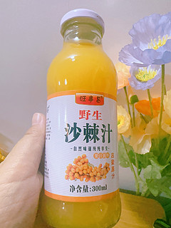 吕梁特产沙棘汁：来自大自然的天然健康饮品!