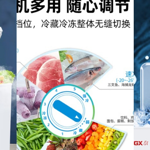 冰柜的品牌并不是我们耳熟能详的家电品牌，因为商用较多，广告较少，知名品牌“星星”并不显著于世