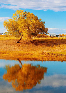 乌兰布统草原，童话里的秋天