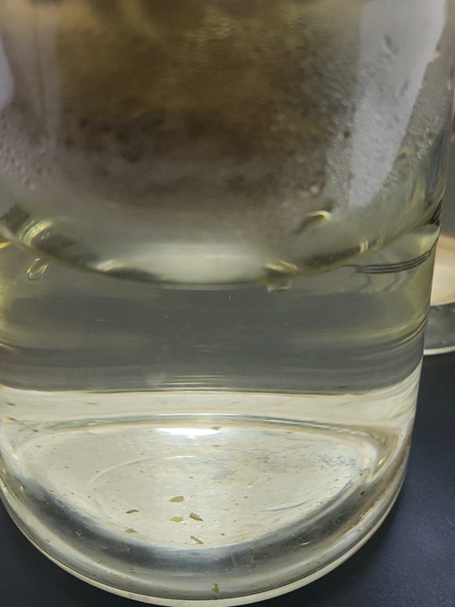 龙井茶