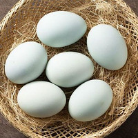 乌鸡蛋和土鸡蛋哪个更有营养？