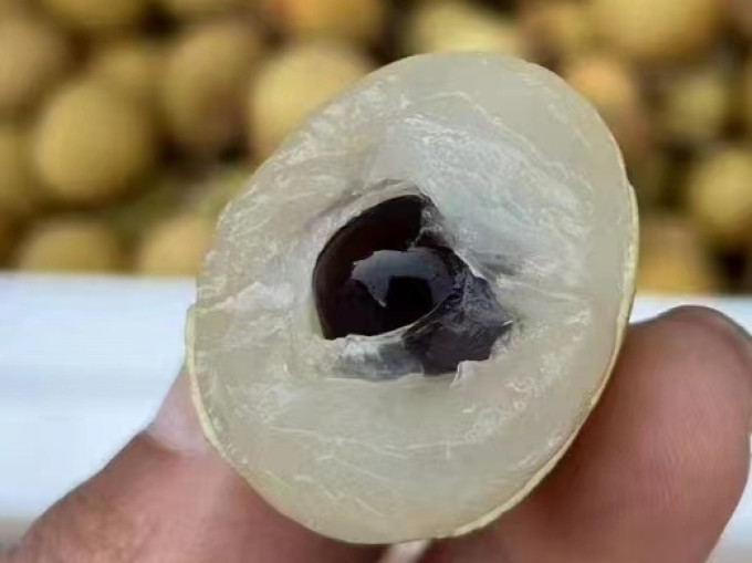 展卉其他水果