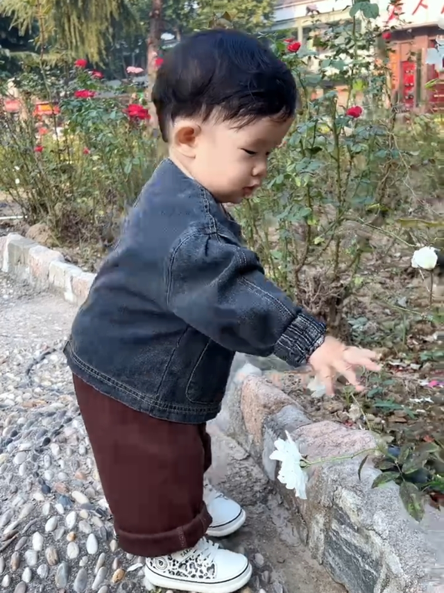 好穿又看好的宝宝学步鞋 |泰兰尼斯 |亲测