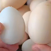 买鸡蛋时，挑小的好还是大的好？和怎样保存听养鸡大叔的方法。