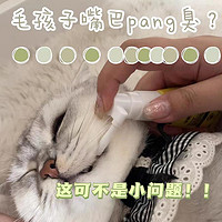 「猫咪口臭怎么办？专家教你解决问题!」