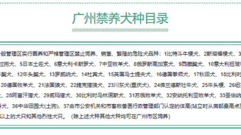 育儿经 篇十：养犬不牵绳？最新的禁养犬清单，看到这些可报警！给孩子、老人一个安全环境 