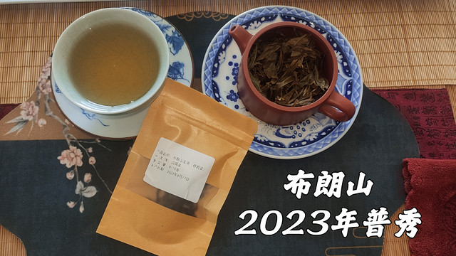 真实品茶，普秀2023年布朗山生茶