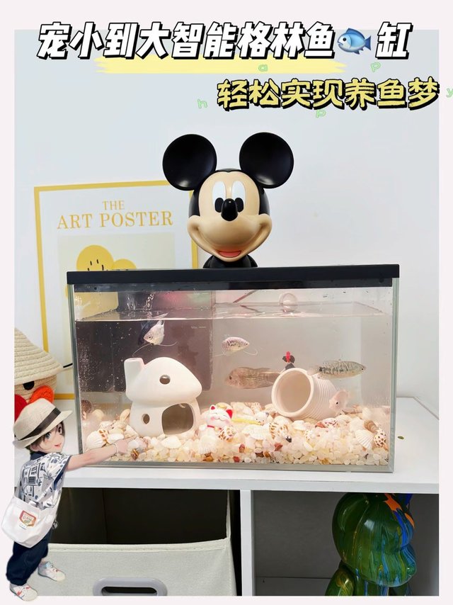 新手轻松入门养鱼梦