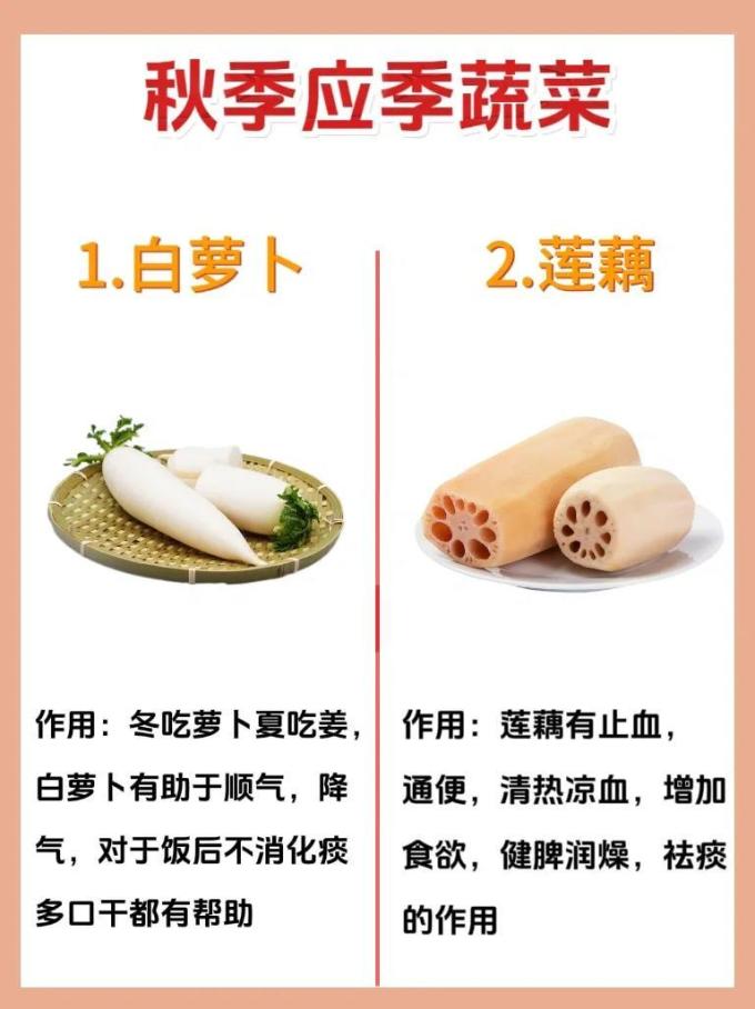 蔬菜