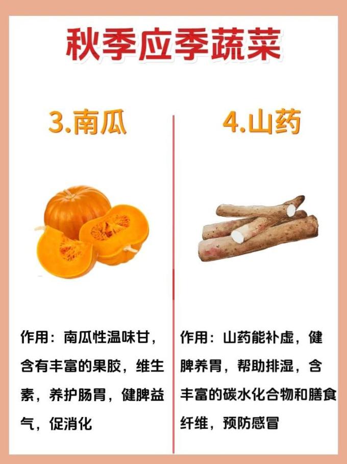 蔬菜