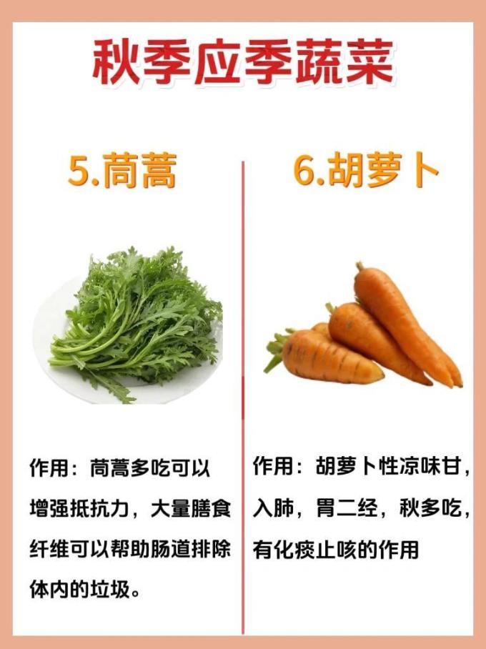蔬菜