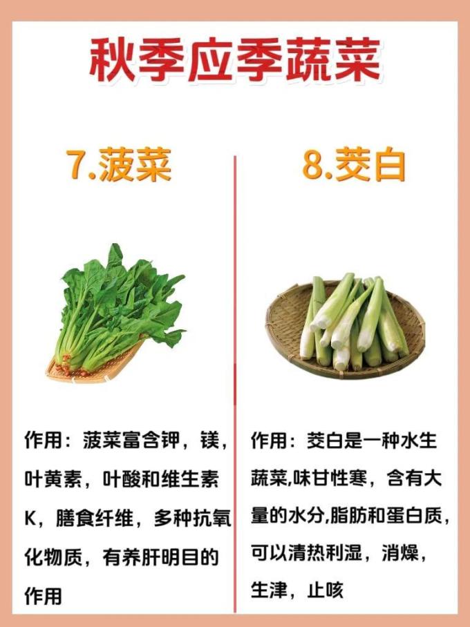 蔬菜