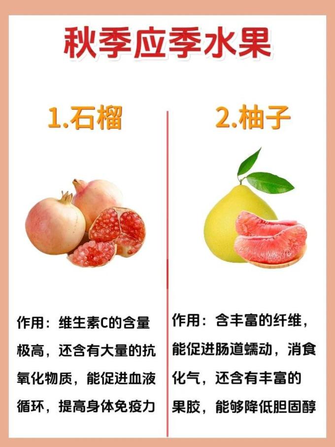 蔬菜