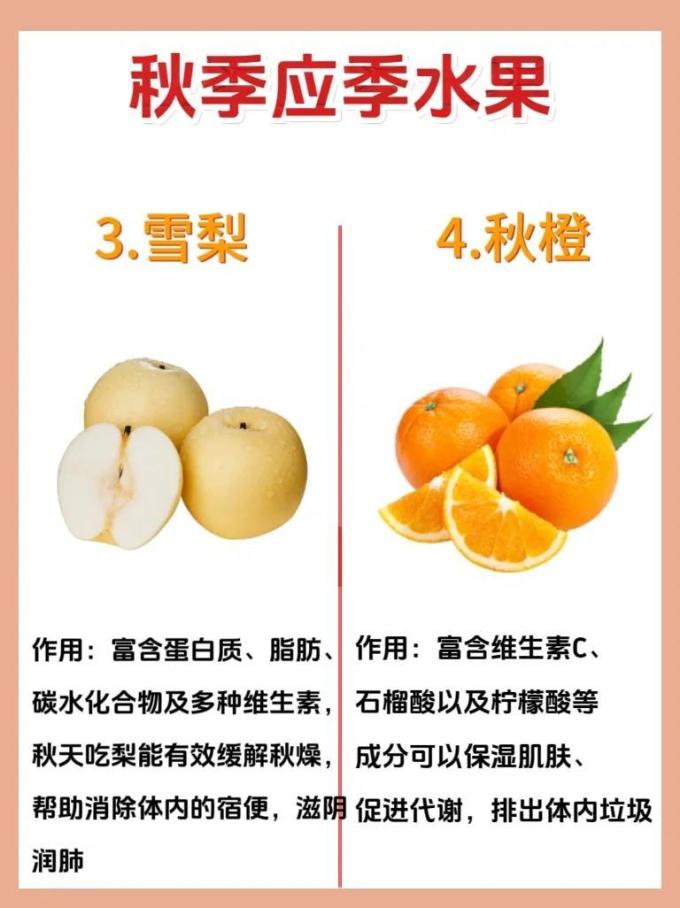 蔬菜