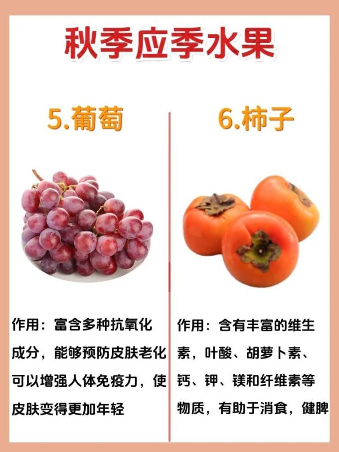 蔬菜