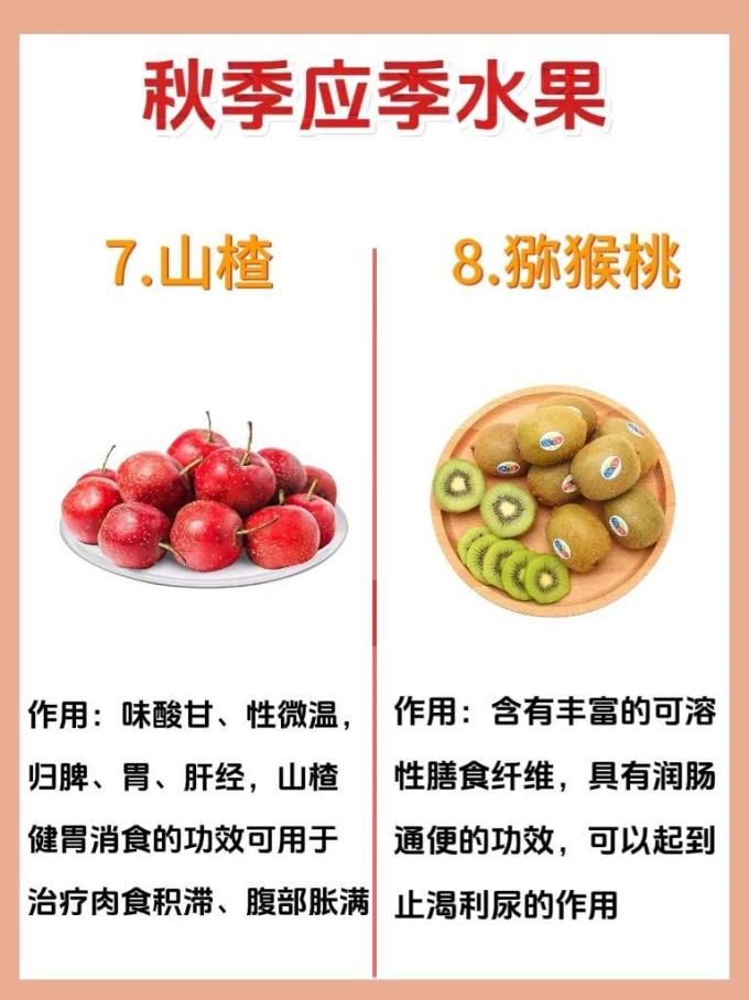 蔬菜