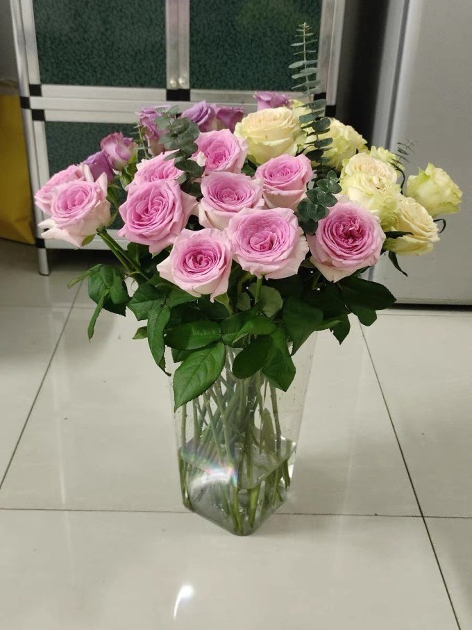 鲜花绿植