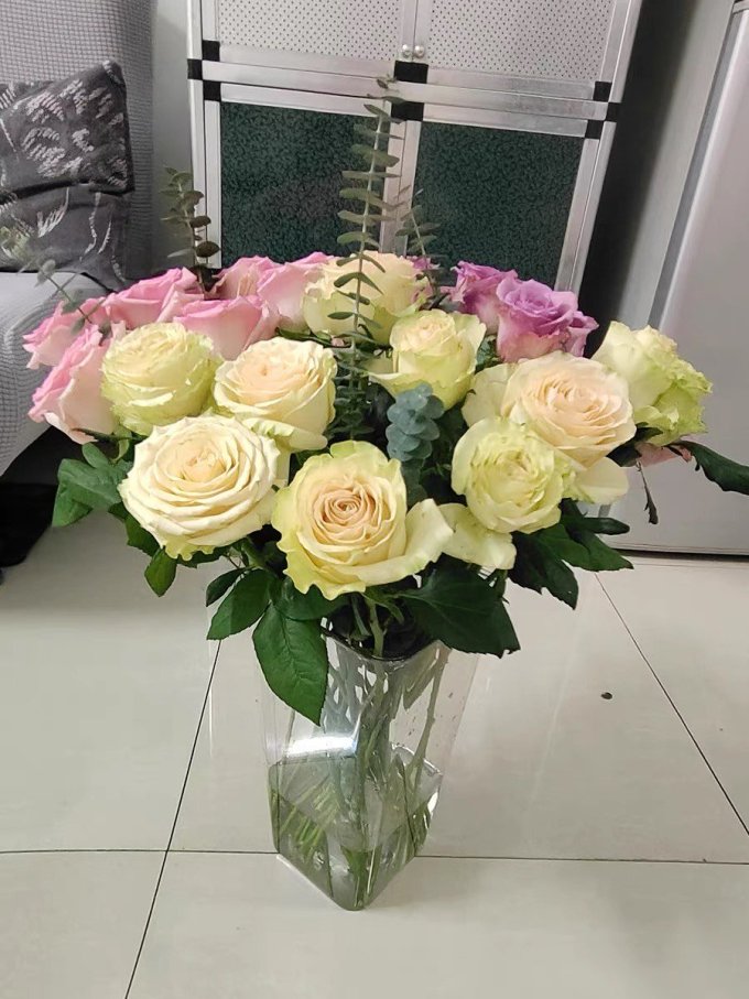 鲜花绿植