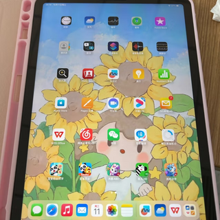 新买的ipad