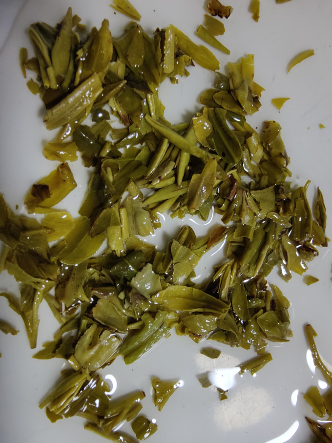 卢正浩绿茶