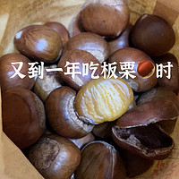 又到一年板栗时