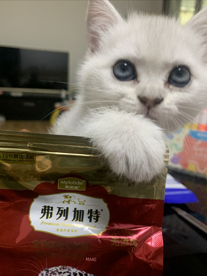 伟嘉猫咪湿粮/罐头