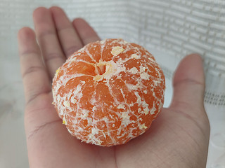 1块钱一斤的小蜜橘，惊喜