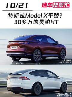 Model X平替？你会喜欢鸥翼门吗❓