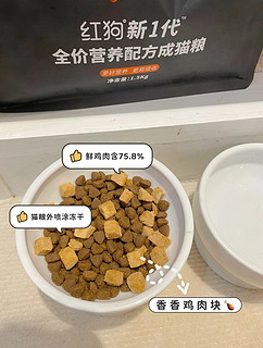 小板凳养的好？猫粮即刻送达!