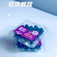 蓝莓的N+1种吃法