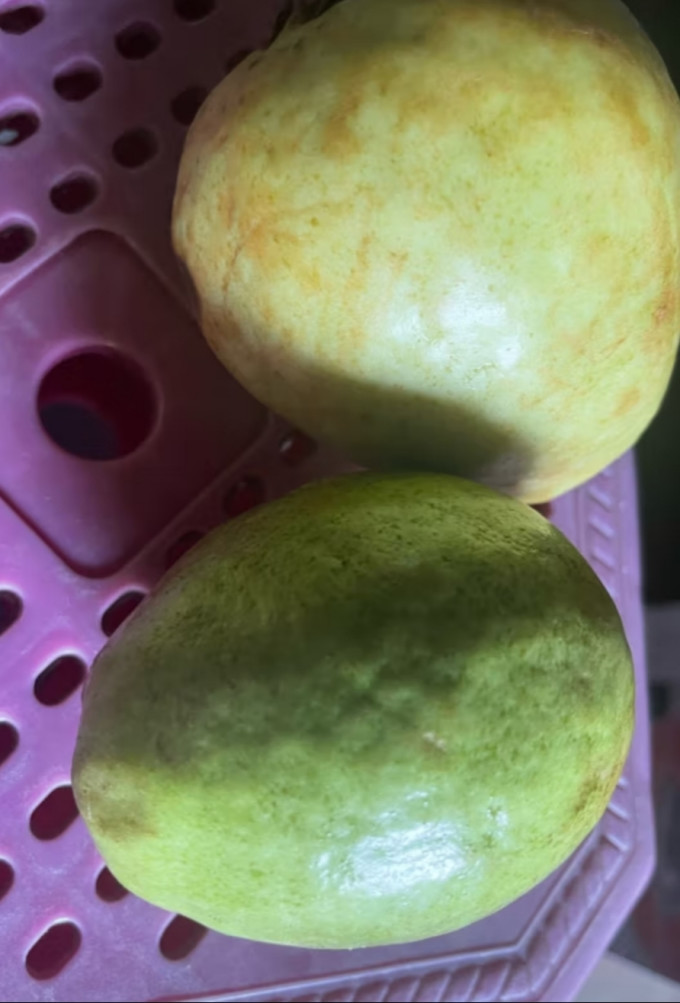 芬果时光新鲜水果