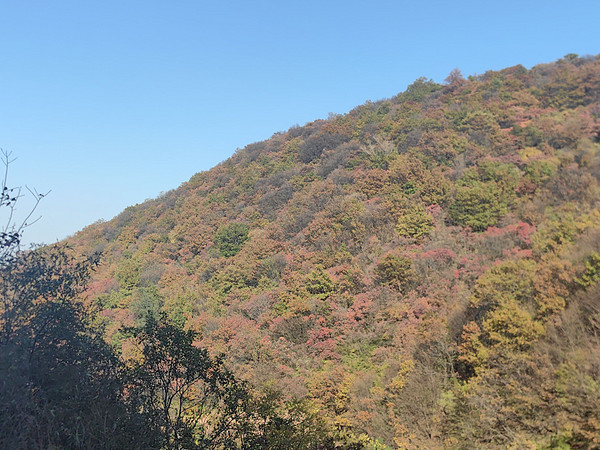 抓住最后的时间登山锻炼