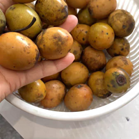 赣南野生酸枣——自然的馈赠，生命的甜蜜