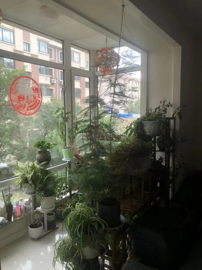 沙发