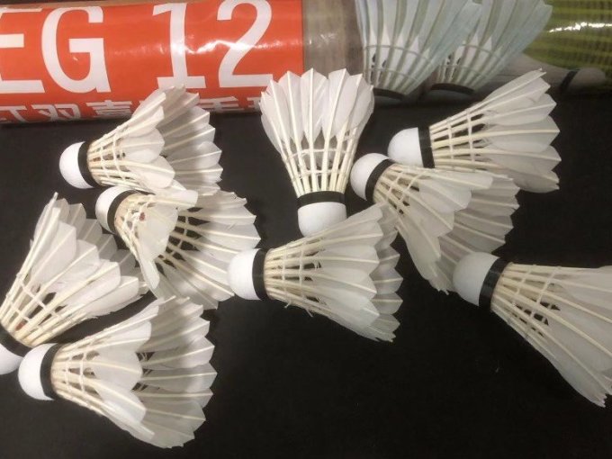 红双喜dhs羽毛球eg12