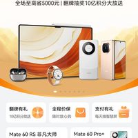华为真坐得住啊，都双十一了，Mate60系列还不是缺货就是抢购的。
