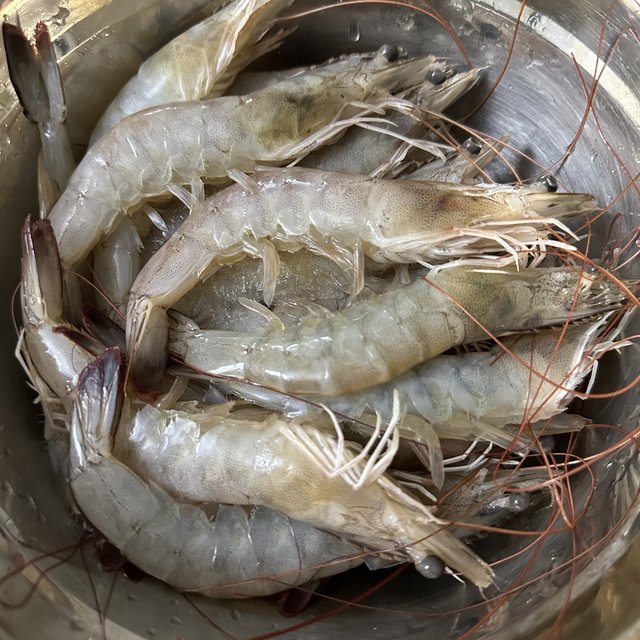 剥虾壳是我的解压方式