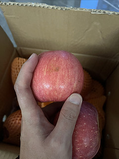 天猫超市的苹果5块一斤还送货上门！再也不用去水果店遇到水果刺客了！