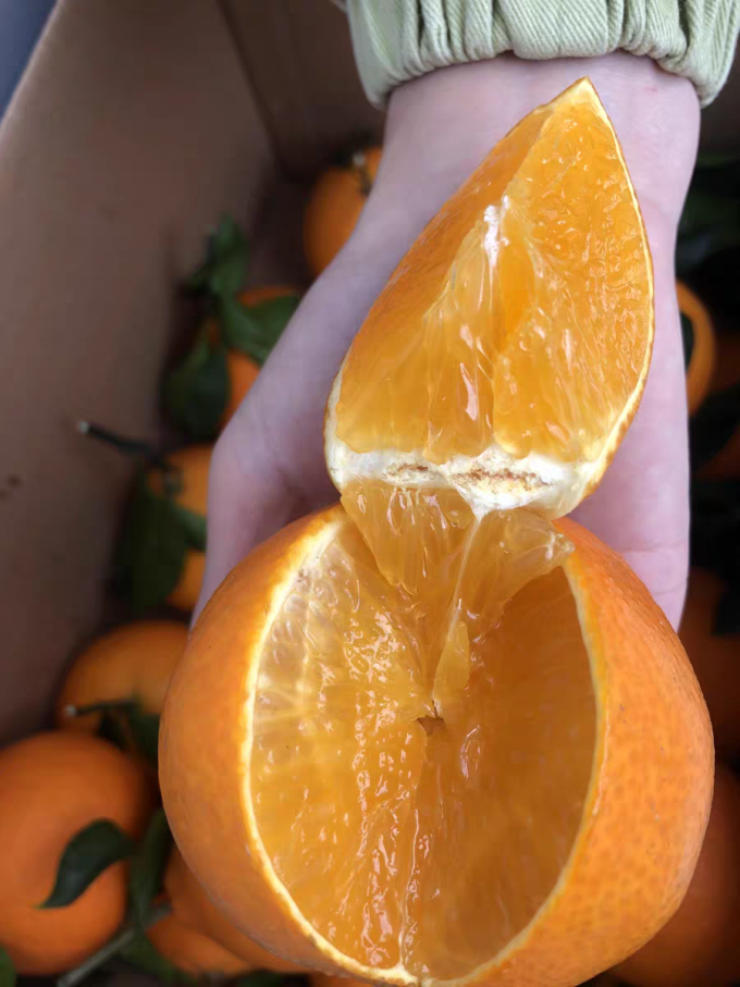 牛爱鲜新鲜水果