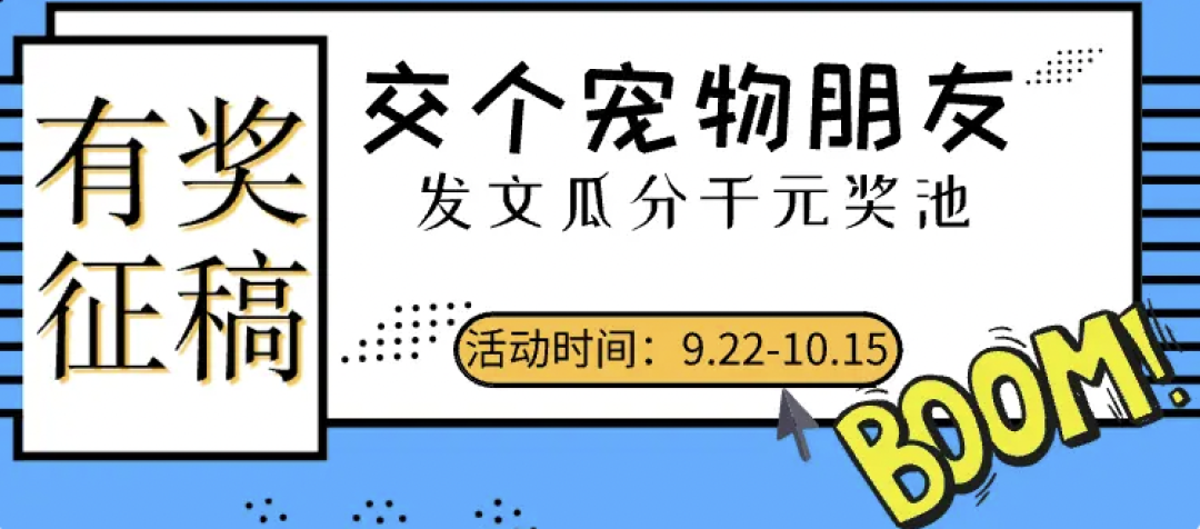 获奖公布｜“交个宠物朋友”征稿活动十大猫狗新星TOP奖名单