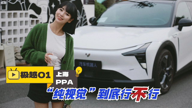 极越01「PPA」实测：「纯视觉」到底行不行？